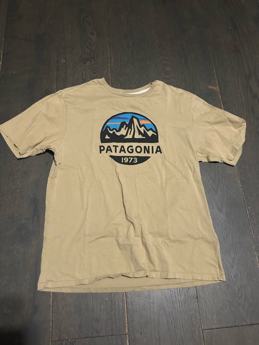 Patagonia Short-Sleeve Logo Tee in Khaki with Blue Accent